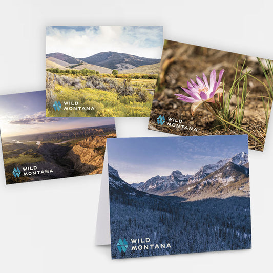 Four Seasons of Wild Montana Notecards