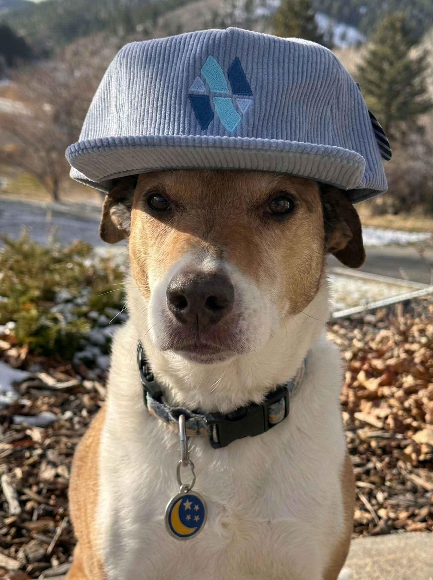 Wild Montana Corduroy Hat