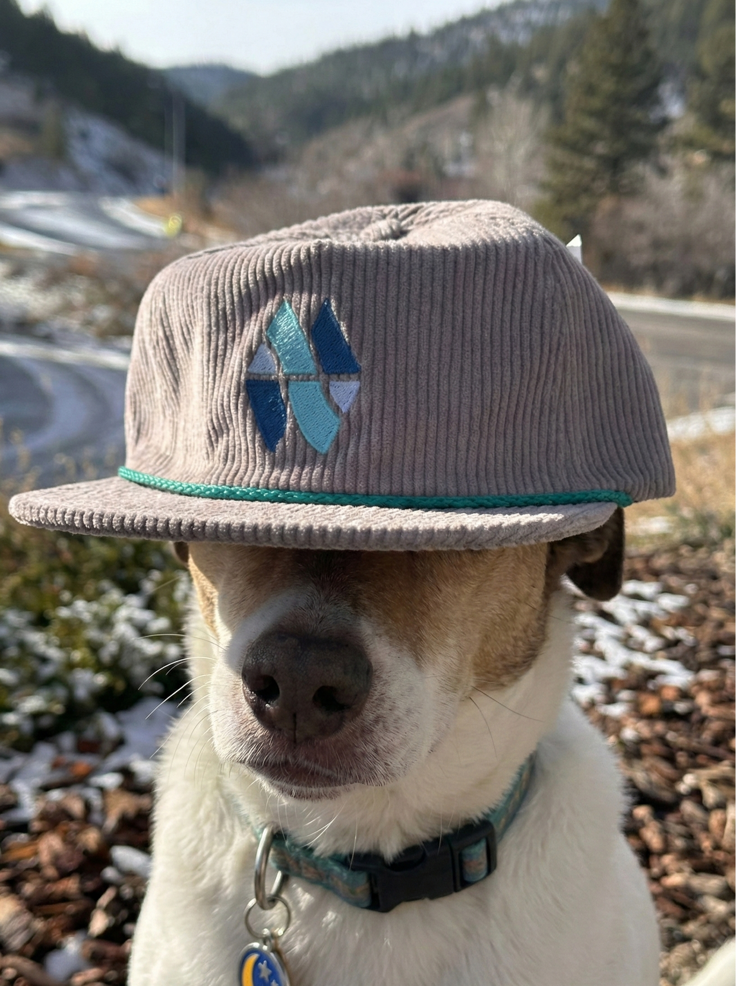 Wild Montana Corduroy Hat