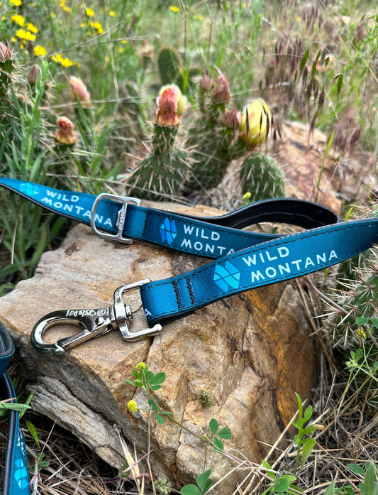 Wild Montana Dog Leash
