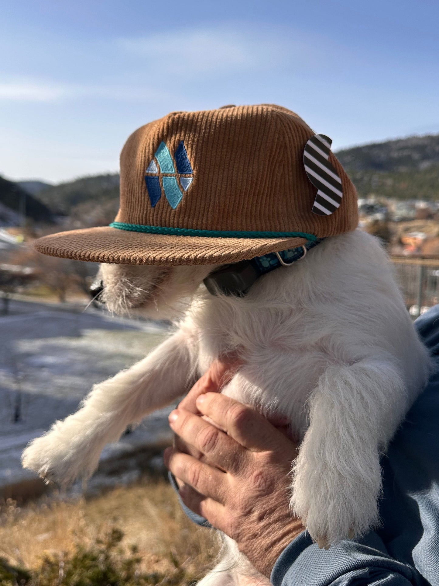 Wild Montana Corduroy Hat