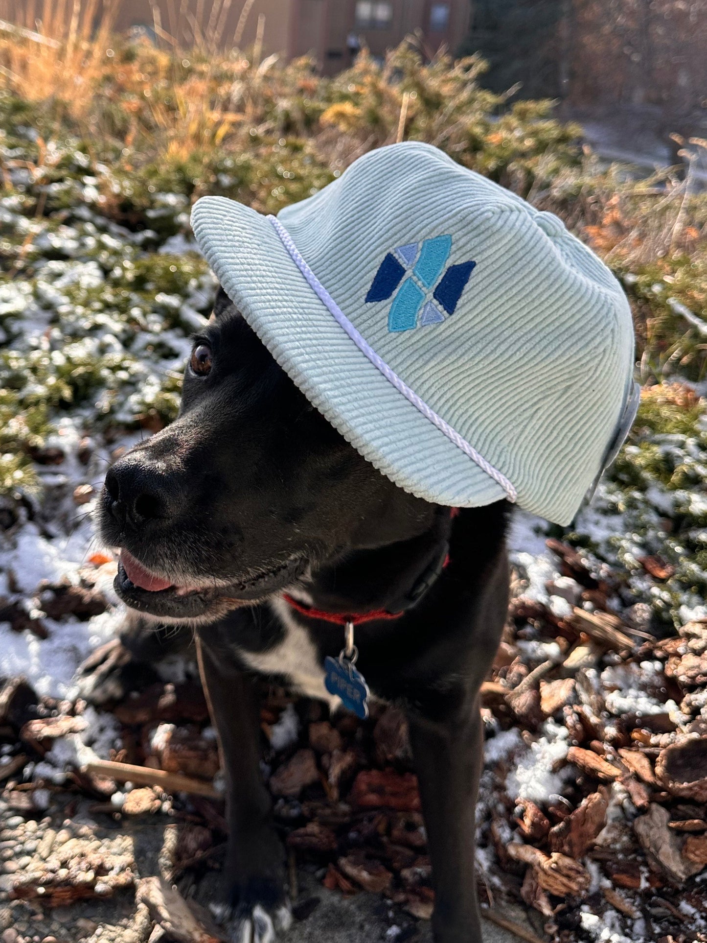 Wild Montana Corduroy Hat