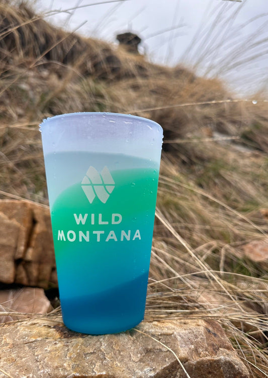 EWC - Wild Montana Silipint