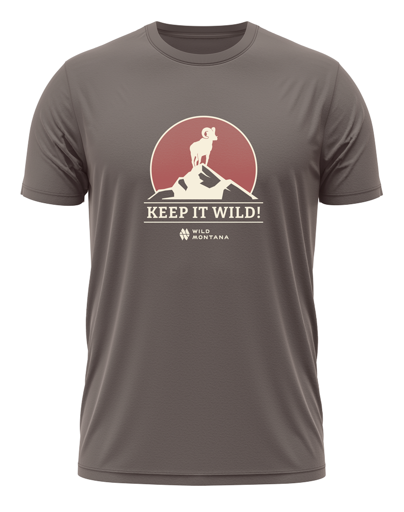 EWC - Ram Mountaintop T-Shirt